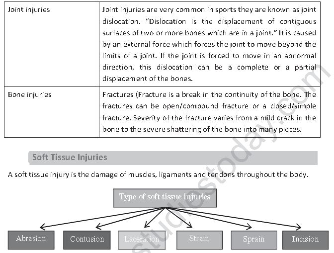 Class 12 Physical Education Physiology And Injuries In Sports_15