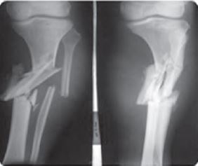 Class 12 Physical Education Physiology And Injuries In Sports_26