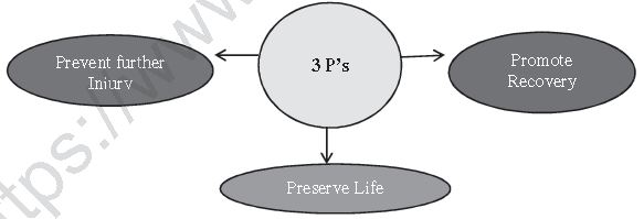 Class 12 Physical Education Physiology And Injuries In Sports_30
