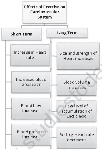 Class 12 Physical Education Physiology And Injuries In Sports_5