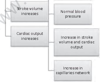 Class 12 Physical Education Physiology And Injuries In Sports_6