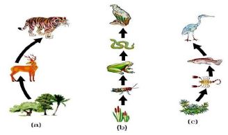 ""CBSE-Class-10-Biology-Our-Environment-Management-Of-Natural-Resources-3
