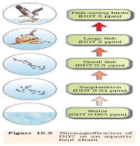 ""CBSE-Class-10-Biology-Our-Environment-Management-Of-Natural-Resources-6