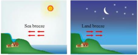 ""CBSE-Class-7-Science-Revision-Worksheet-Set-C-1