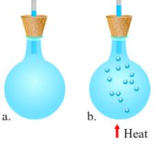 ""CBSE-Class-7-Science-Revision-Worksheet-Set-E-1