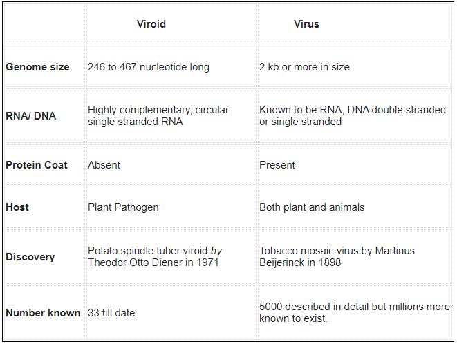""NCERT-Solutions-Class-11-Biology-Chapter-2-Biological-Classification