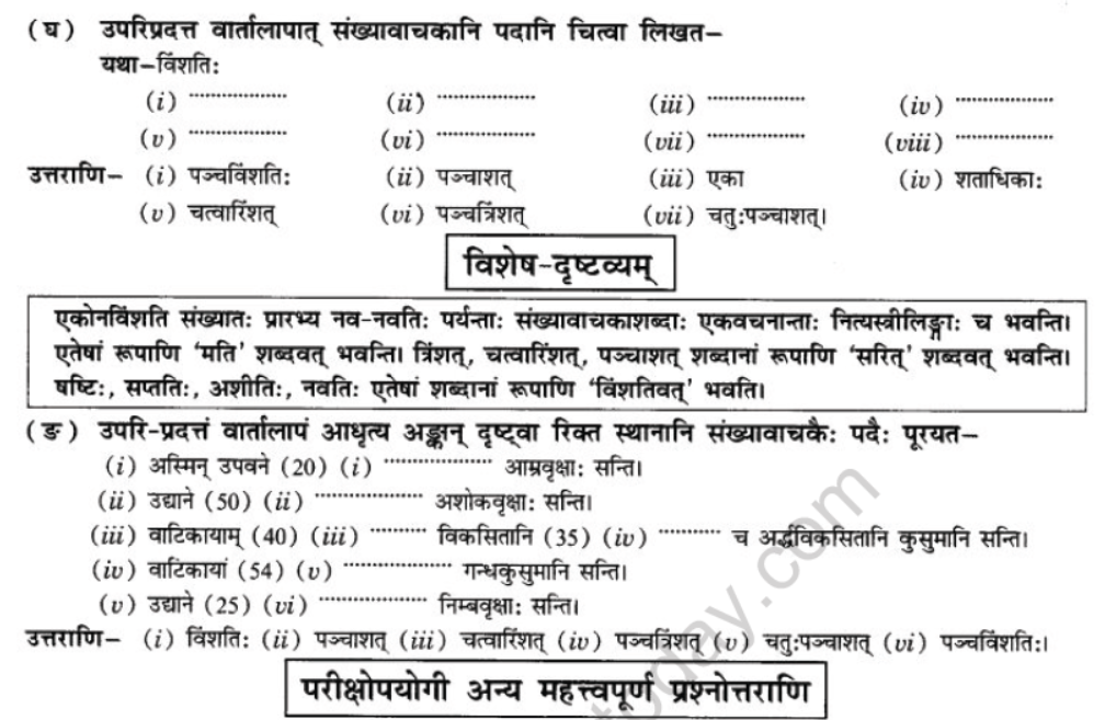 NCERT-Solutions-Class-10-Sanskrit-Chapter-7-Sandkhaya-5