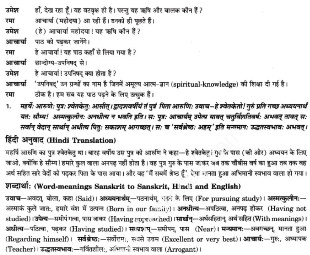 ncert-solutions-class-9-sanskrit-chapter-1-tat-tvam-asi