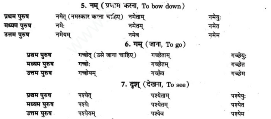 ncert-solutions-class-9-sanskrit-chapter-10-vidhilid-lakar