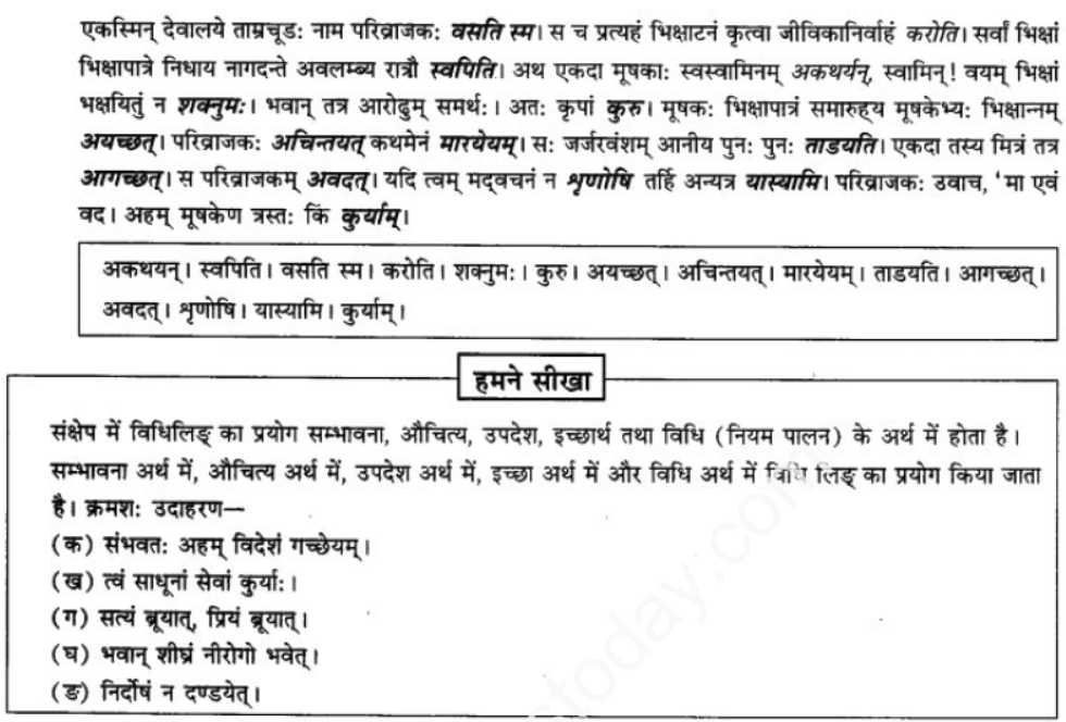 ncert-solutions-class-9-sanskrit-chapter-10-vidhilid-lakar