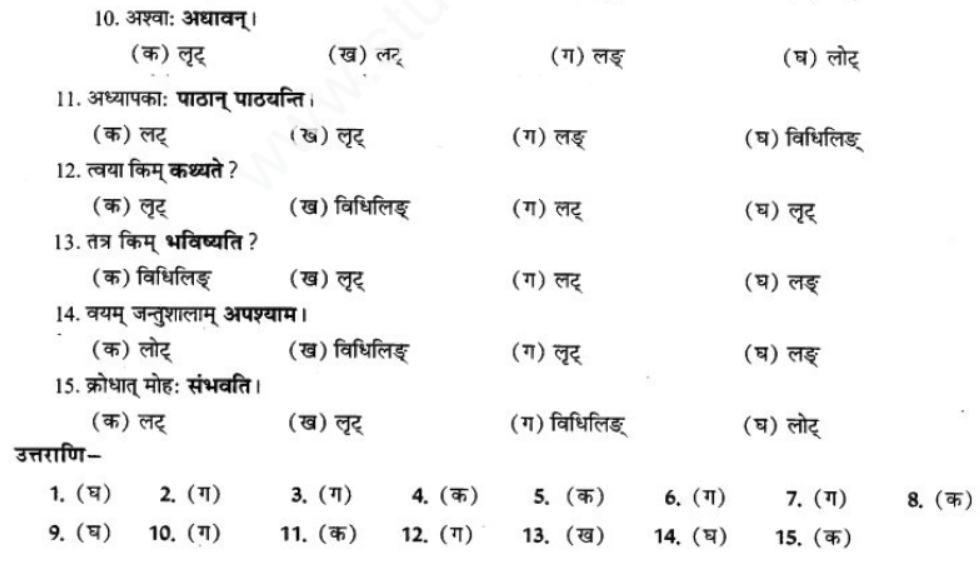 ncert-solutions-class-9-sanskrit-chapter-10-vidhilid-lakar
