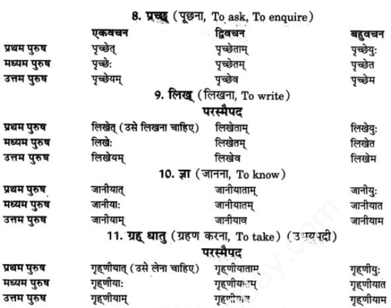 ncert-solutions-class-9-sanskrit-chapter-10-vidhilid-lakar