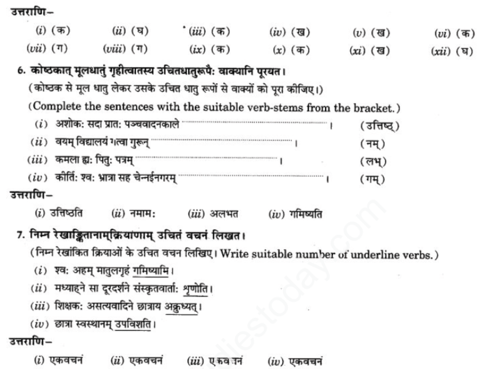 ncert-solutions-class-9-sanskrit-chapter-10-vidhilid-lakar