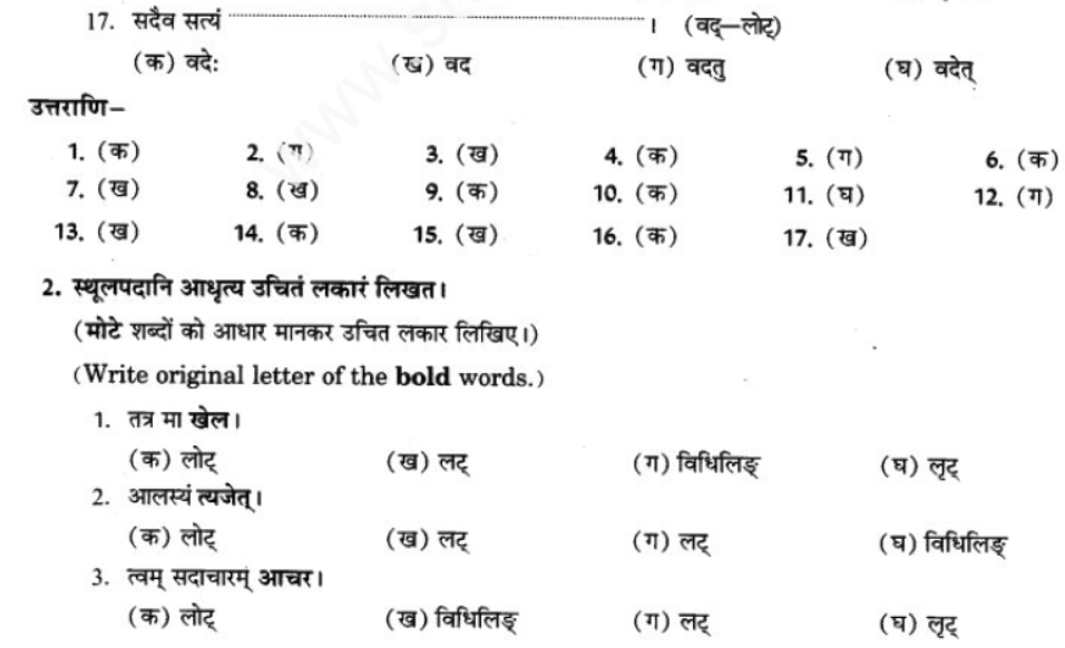 ncert-solutions-class-9-sanskrit-chapter-10-vidhilid-lakar