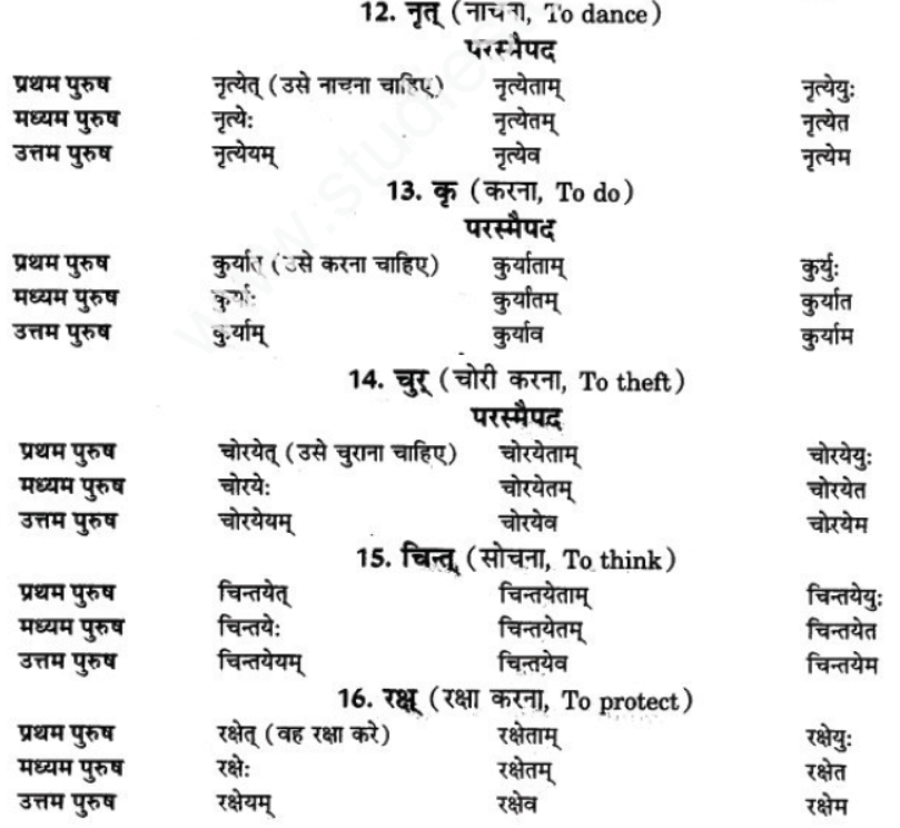 ncert-solutions-class-9-sanskrit-chapter-10-vidhilid-lakar