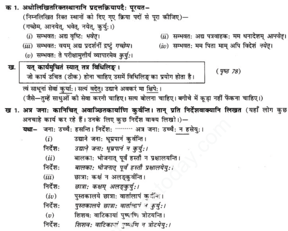 ncert-solutions-class-9-sanskrit-chapter-10-vidhilid-lakar