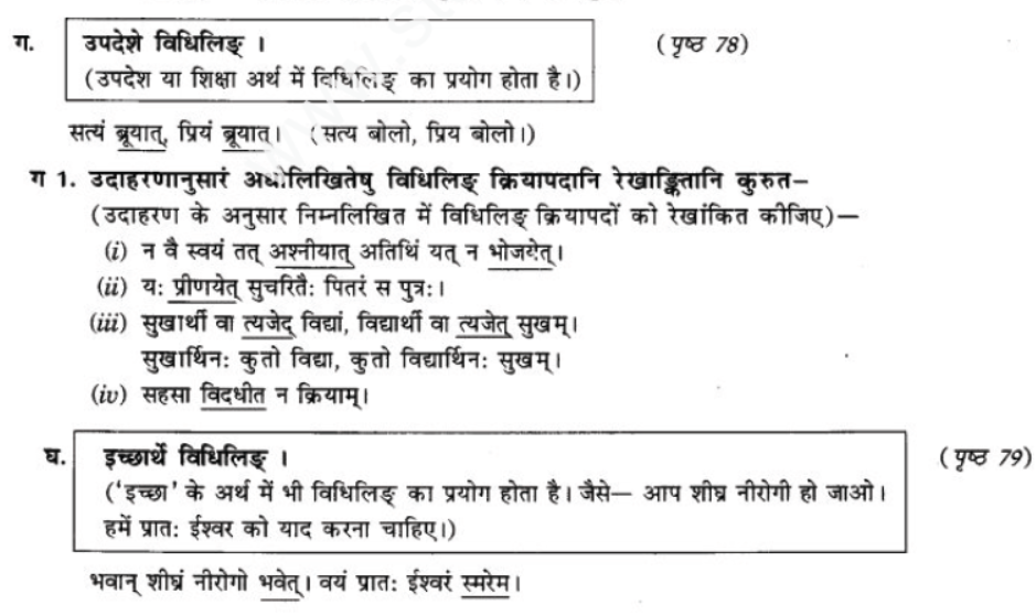 ncert-solutions-class-9-sanskrit-chapter-10-vidhilid-lakar