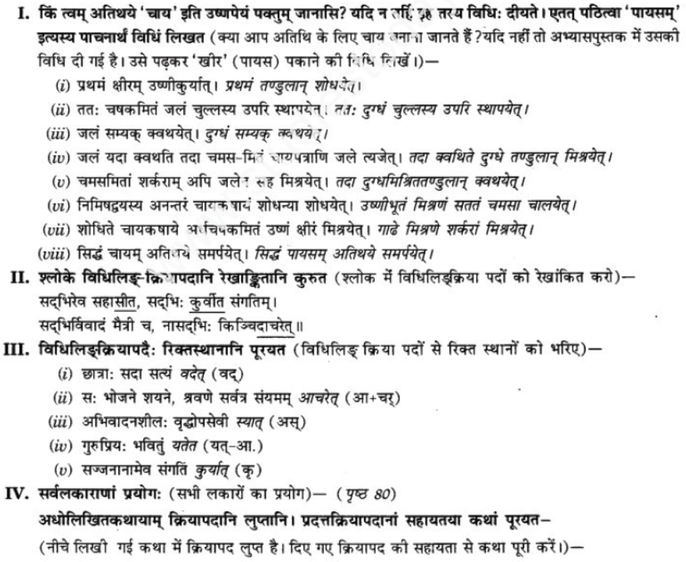 ncert-solutions-class-9-sanskrit-chapter-10-vidhilid-lakar