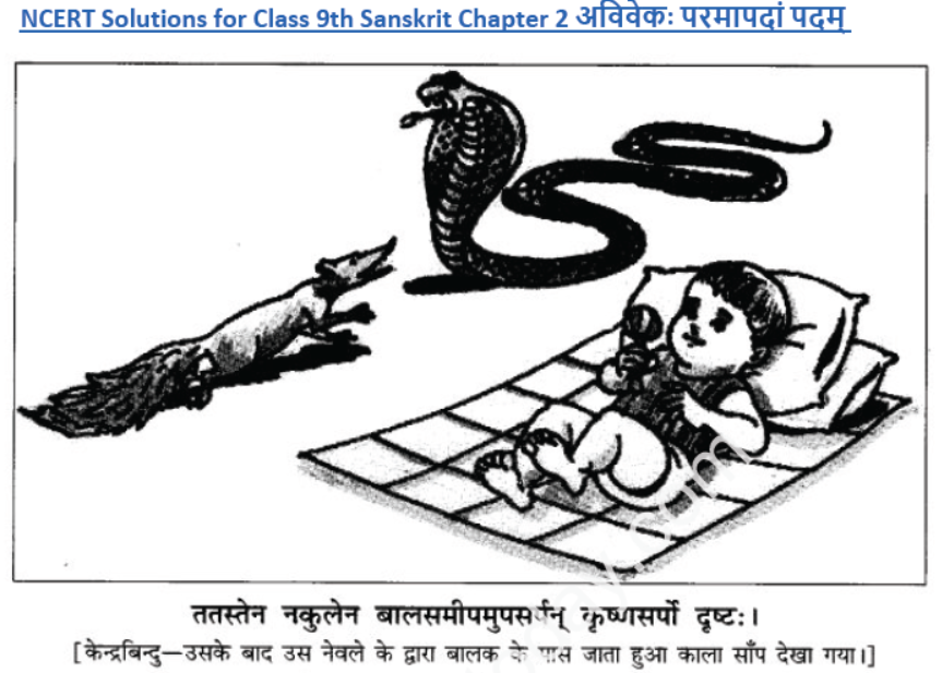 ncert-solutions-class-9-sanskrit-chapter-2-avivek-prmapda-padam