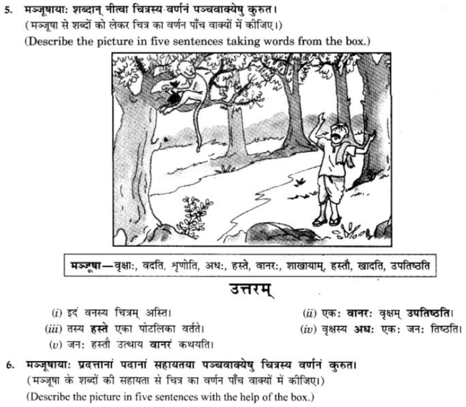 ncert-solutions-class-9-sanskrit-chapter-4-chitradharitnm-varnam