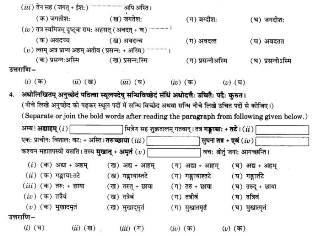 ncert-solutions-class-9-sanskrit-chapter-4-visargsandhi