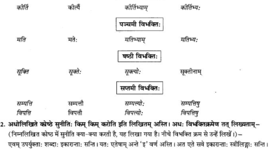 ncert-solutions-class-9-sanskrit-chapter-5-ajantshabda-halantshabda-sarvnamshabda