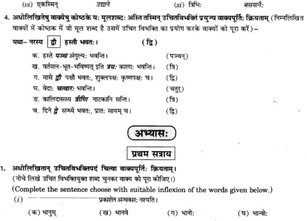 ncert-solutions-class-9-sanskrit-chapter-5-ajantshabda-halantshabda-sarvnamshabda
