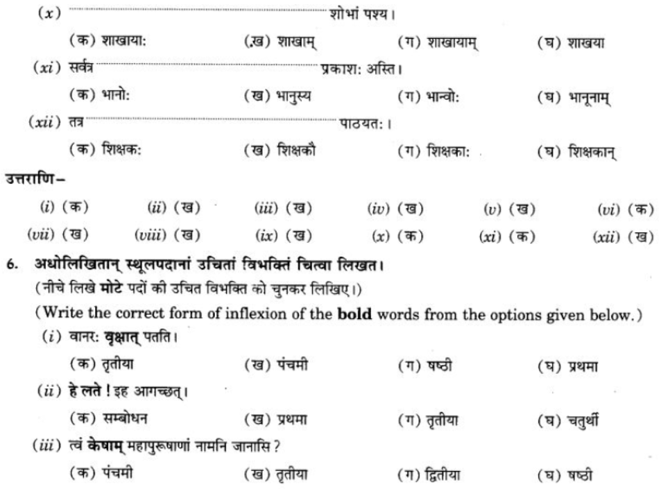 ncert-solutions-class-9-sanskrit-chapter-5-ajantshabda-halantshabda-sarvnamshabda