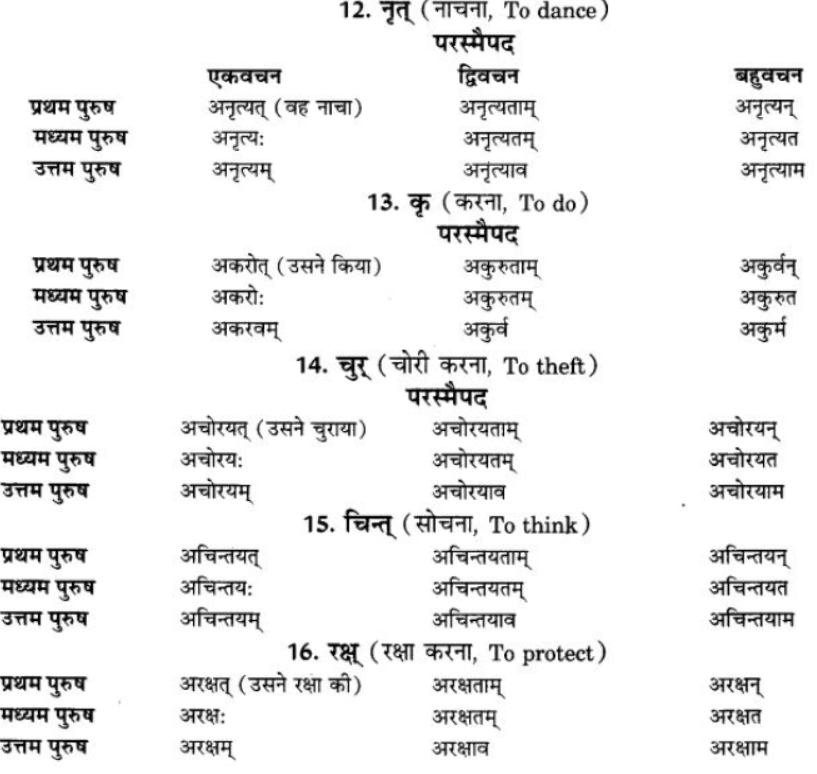 ncert-solutions-class-9-sanskrit-chapter-7-bhutkal