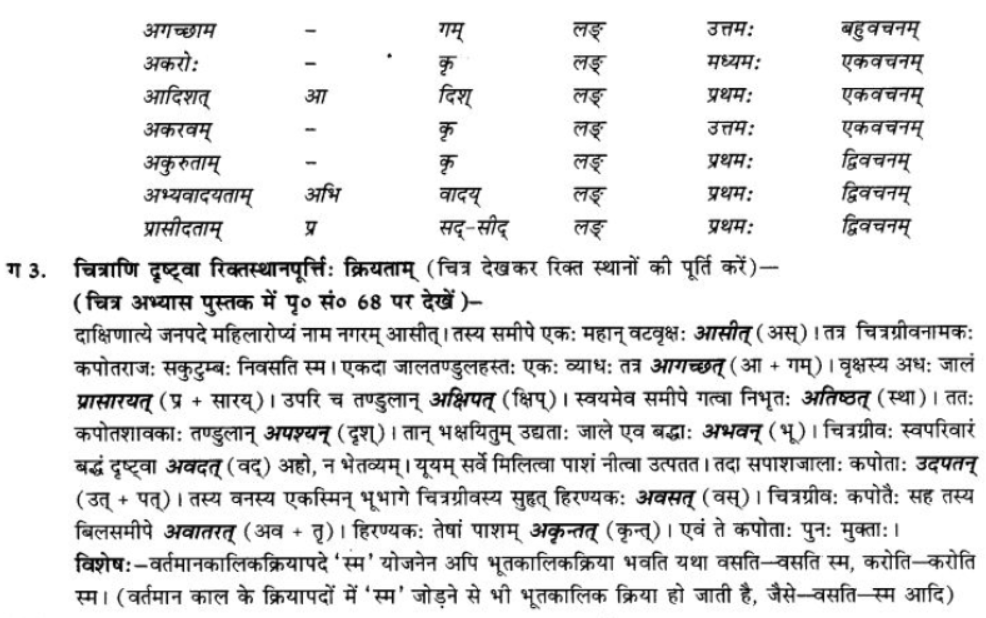ncert-solutions-class-9-sanskrit-chapter-7-bhutkal