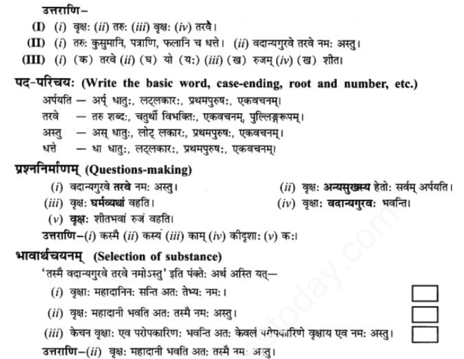 ncert-solutions-class-9-sanskrit-chapter-7-tarve-namostu