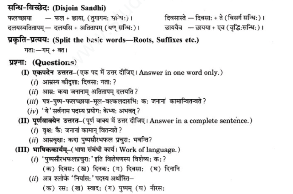 ncert-solutions-class-9-sanskrit-chapter-7-tarve-namostu