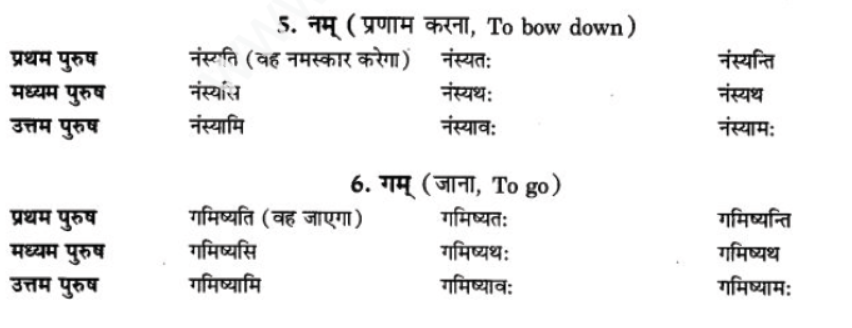 ncert-solutions-class-9-sanskrit-chapter-8-bhavishyakal
