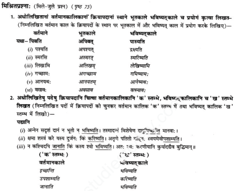 ncert-solutions-class-9-sanskrit-chapter-8-bhavishyakal