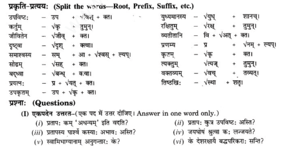 ncert-solutions-class-9-sanskrit-chapter-9-vijaytam-svadesh