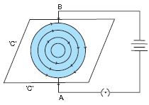 ""CBSE-Class-10-Science-Magnetic-Effects-Of-Current-Worksheet-Set-B-12