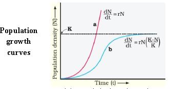 ""CBSE-Class-12-Biology-Organisms-and-Populations-Concept-Map-4