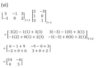 ""NCERT-Solutions-Class-12-Mathematics-Chapter-3-Matrices-24