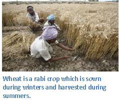 ""Agriculture-in-India-Food-Crops-Notes-1