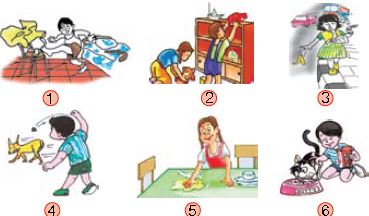 ""CBSE-Class-1-NSO-Olympiad-MCQs-with-Answers-Set-A-13