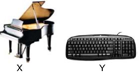 ""CBSE-Class-1-NSO-Olympiad-MCQs-with-Answers-Set-A-15