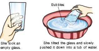 ""CBSE-Class-1-NSO-Olympiad-MCQs-with-Answers-Set-A