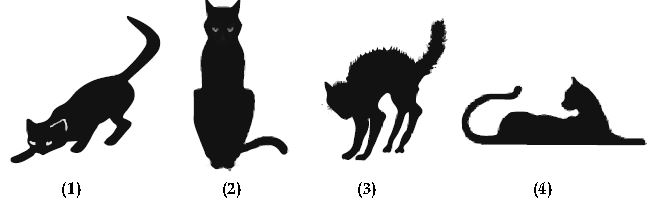 ""CBSE-Class-10-English-HOTs-Fog