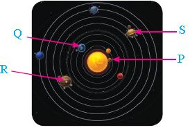""CBSE-Class-2-IOS-Olympiad-MCQs-with-Answers-Set-A-1