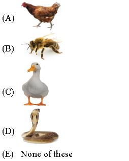""CBSE-Class-2-IOS-Olympiad-MCQs-with-Answers-Set-A-10