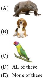 ""CBSE-Class-2-IOS-Olympiad-MCQs-with-Answers-Set-A-12