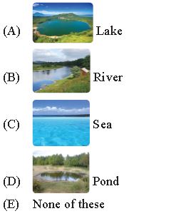 ""CBSE-Class-2-IOS-Olympiad-MCQs-with-Answers-Set-A-13