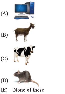 ""CBSE-Class-2-IOS-Olympiad-MCQs-with-Answers-Set-A-14