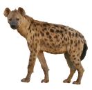 ""CBSE-Class-2-IOS-Olympiad-MCQs-with-Answers-Set-A