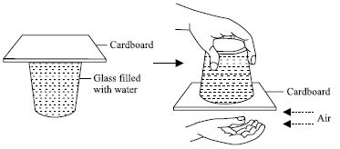""CBSE-Class-5-Science-NSO-Olympiad-MCQs-with-Answers-Set-H-16